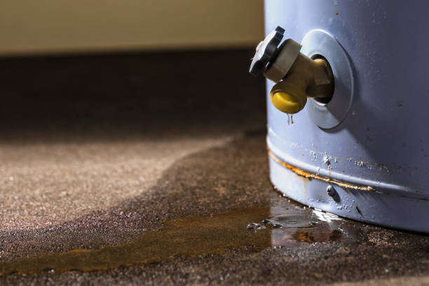 Best Water damage restoration insurance claims  in Mehlville, MO