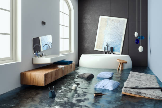 Reliable Mehlville, MO Water damage restoration Solutions