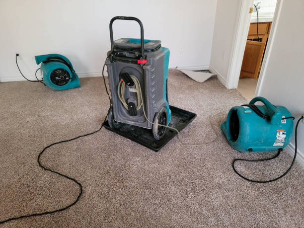 Best Ceiling water damage repair  in Mehlville, MO