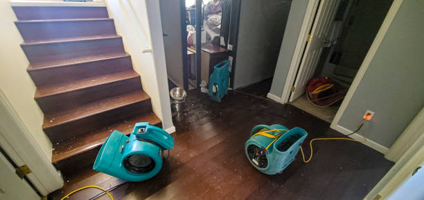 Best Water damage restoration near me  in Mehlville, MO