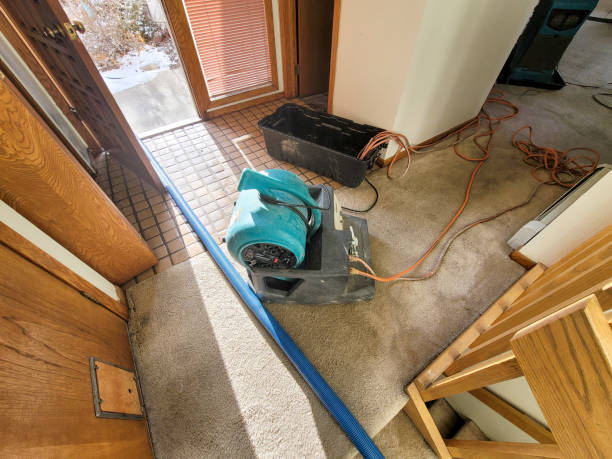 Best Water damage contractors near me  in Mehlville, MO