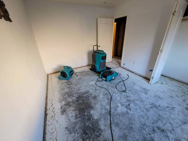 Best Fire Damage Restoration  in Mehlville, MO