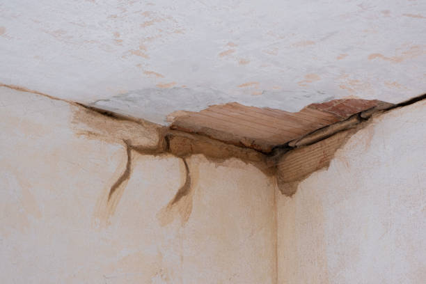 Best Water damage restoration near me  in Mehlville, MO