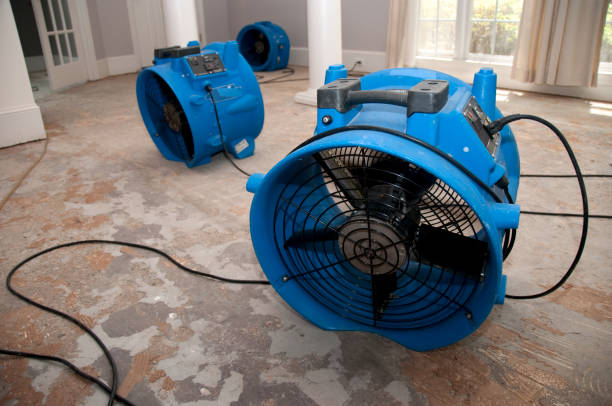 Best Carpet water damage restoration  in Mehlville, MO