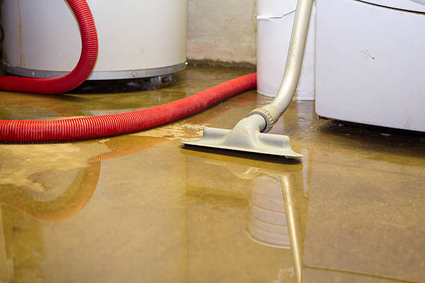  Mehlville, MO Water damage restoration Pros
