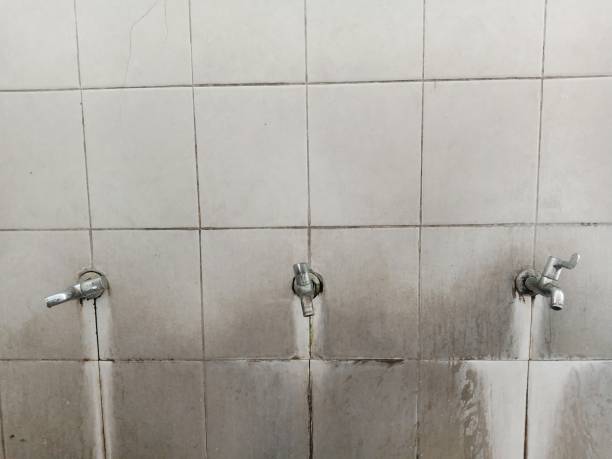 Best Local water damage restoration  in Mehlville, MO