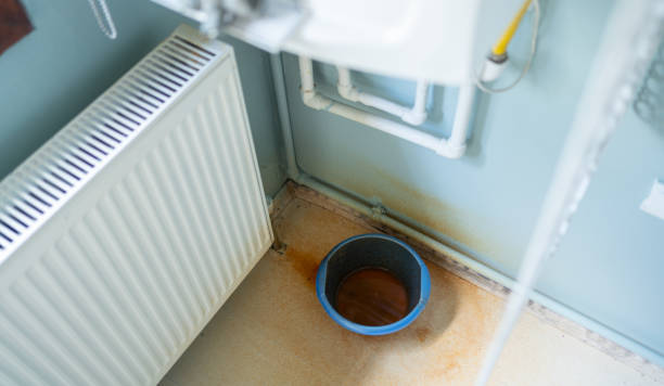 Best Flood restoration services  in Mehlville, MO