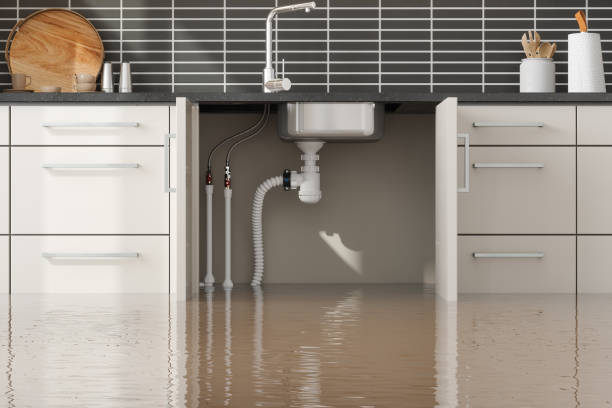 Best Water damage restoration services  in Mehlville, MO