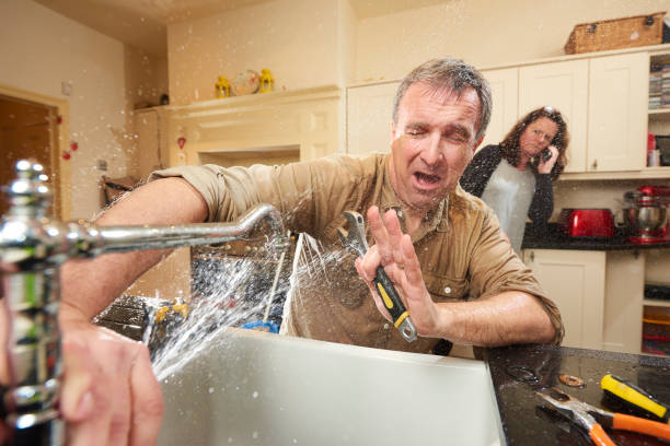 Best Basement water damage restoration  in Mehlville, MO